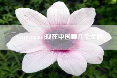 泗阳现在中国哪几个金牌