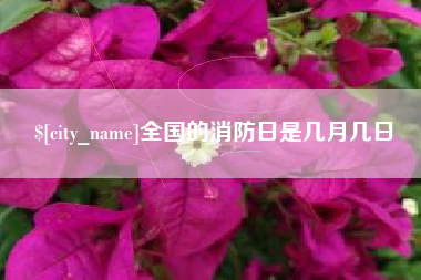 泗阳全国的消防日是几月几日