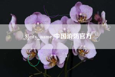 泗阳中国消防官方