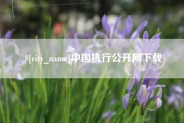 泗阳中国执行公开网下载