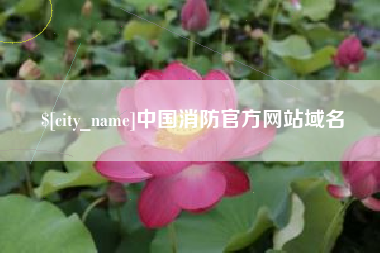 泗阳中国消防官方网站域名