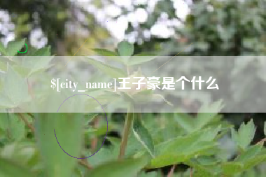 泗阳王子豪是个什么