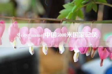 泗阳中国5000米国家记录