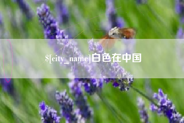泗阳白色在中国