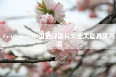 泗阳中国金牌图片大全大图真实高清