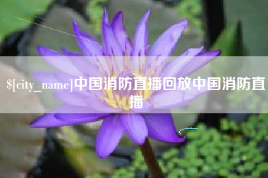 泗阳中国消防直播回放中国消防直播