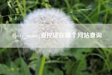 泗阳消控证在哪个网站查询