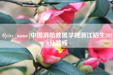 泗阳中国消防救援学院浙江招生2020分数线
