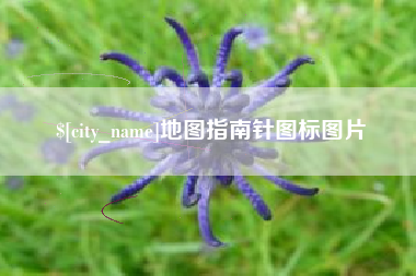 泗阳地图指南针图标图片