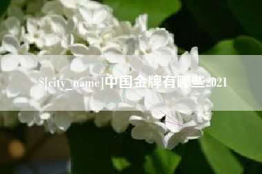 泗阳中国金牌有哪些2021