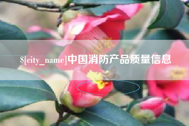 泗阳中国消防产品质量信息