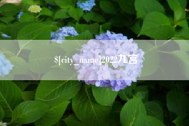 泗阳2022九宫