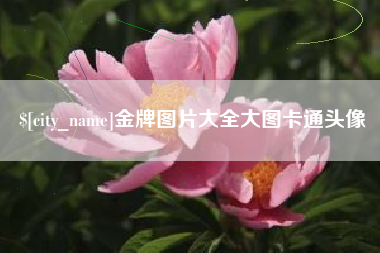 泗阳金牌图片大全大图卡通头像