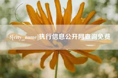 泗阳执行信息公开网查询免费